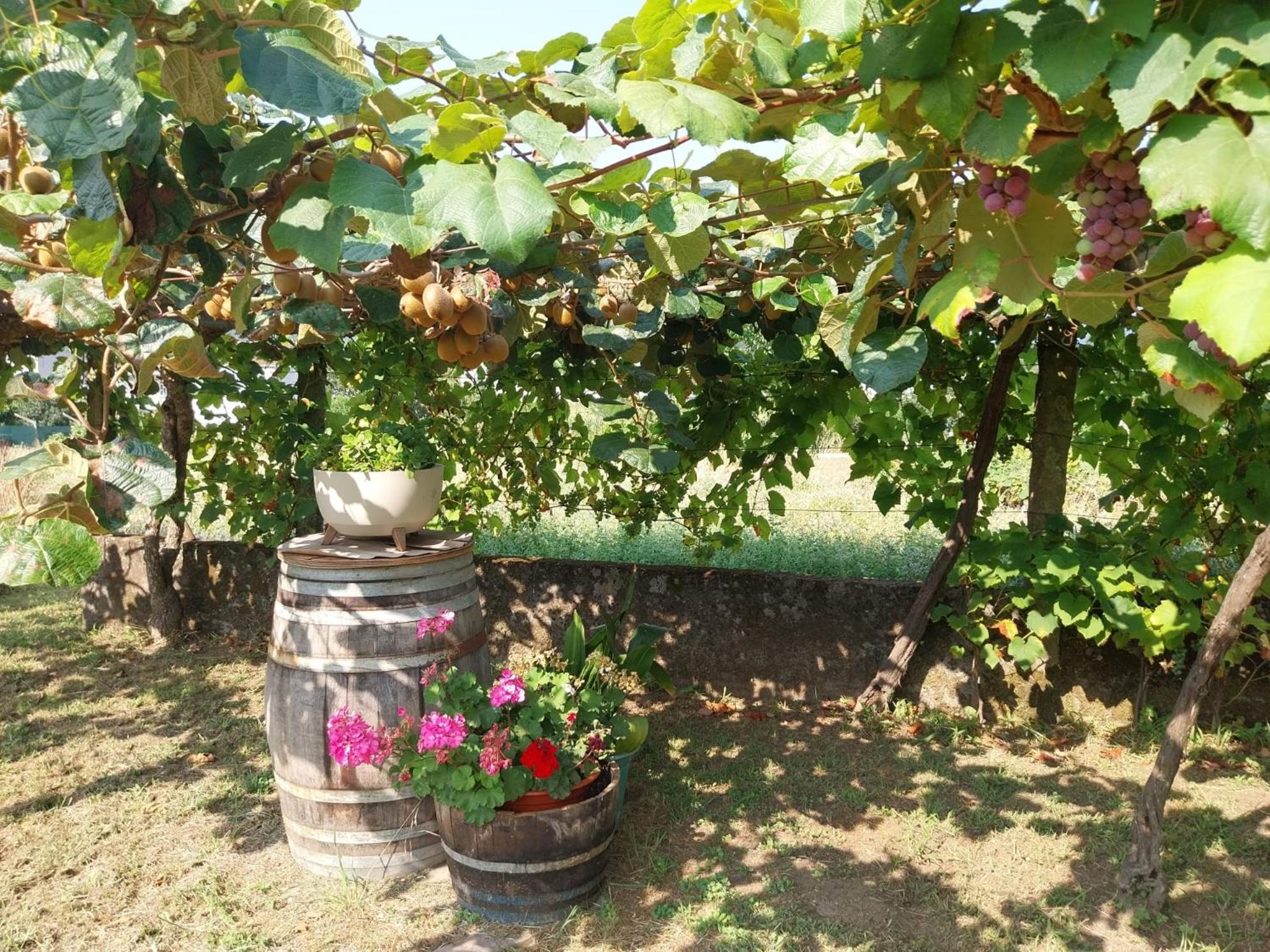 O Berce Padron Casa Rural Екстер'єр фото